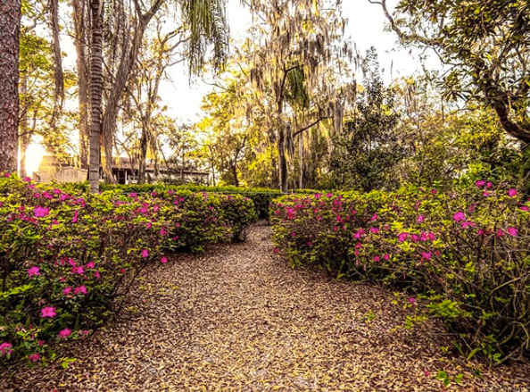 A path leading to a boardwalk at Dickson Azalea Park in Orlando
