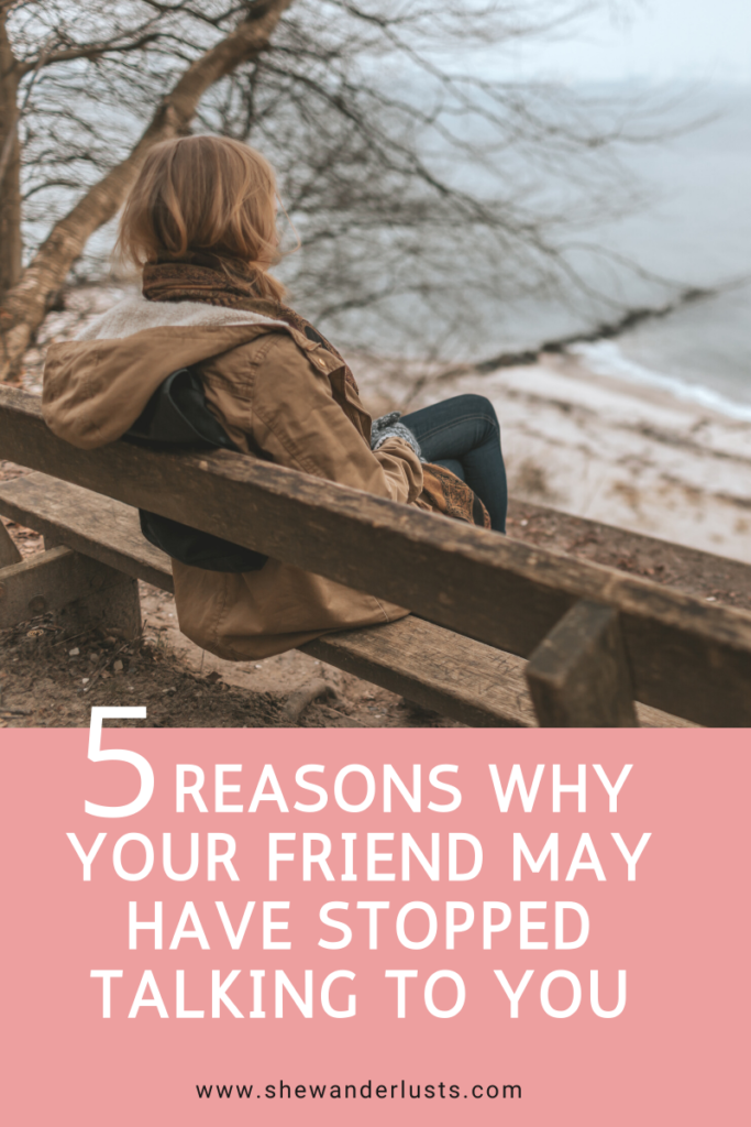 A graphic that you can pin to Pinterest that says "5 reasons why your friend may have stopped talking to you."
